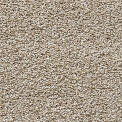 Luxury Design | Parchment