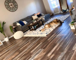 Everlasting | Brushed Hickory