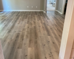 Everlasting | Laurel Oak