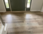 Everlasting | Laurel Oak